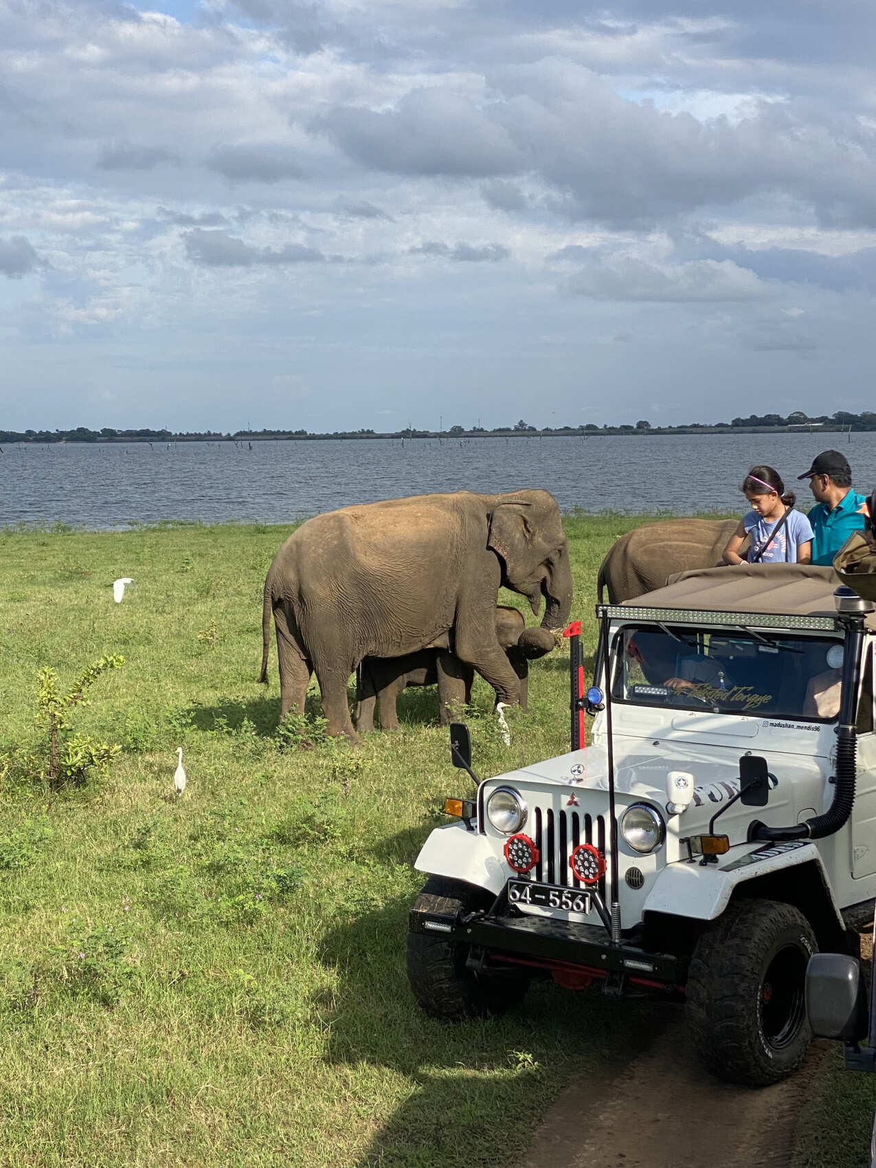 Шри-Ланка. 14 насыщенных дней твоей жизни! Восточные пляжи, горы, чай, киты и слоны (2/67)