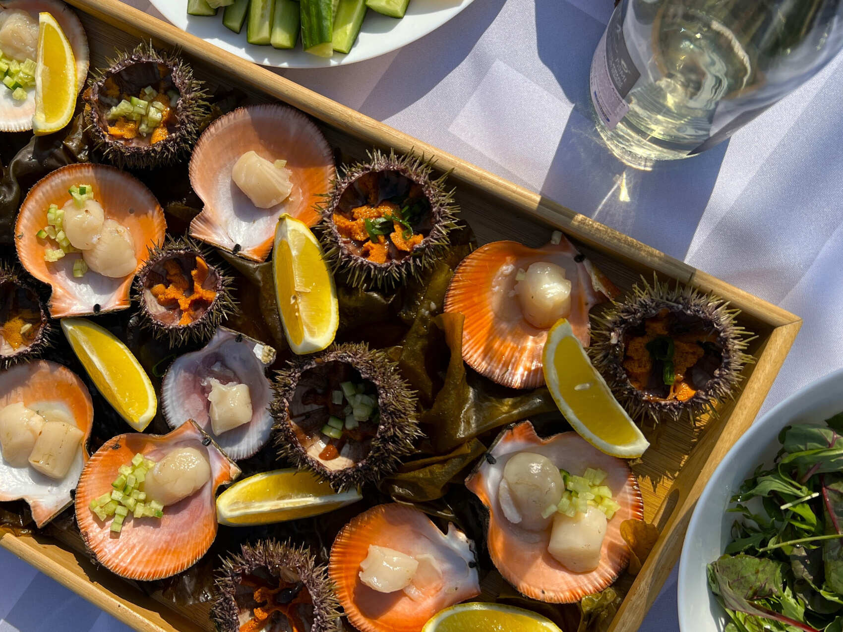 Рыбачий и Средний + киты (по запросу, для готовых групп) (7/17)