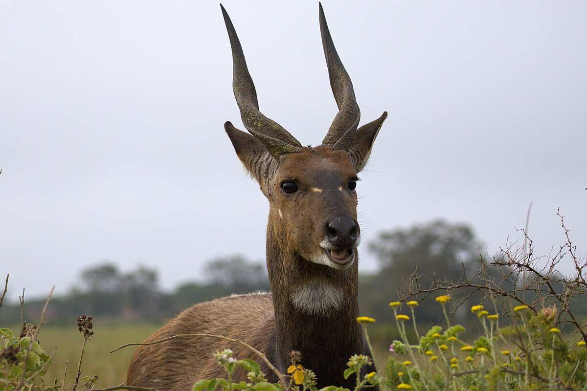 Топ-тур в Юар: треккинги, сафари и киты (41/64)