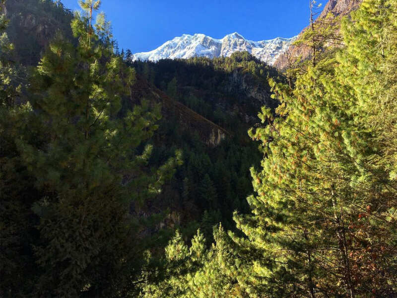 Непал. Трек вокруг Аннапурны по часовой! (18/122)