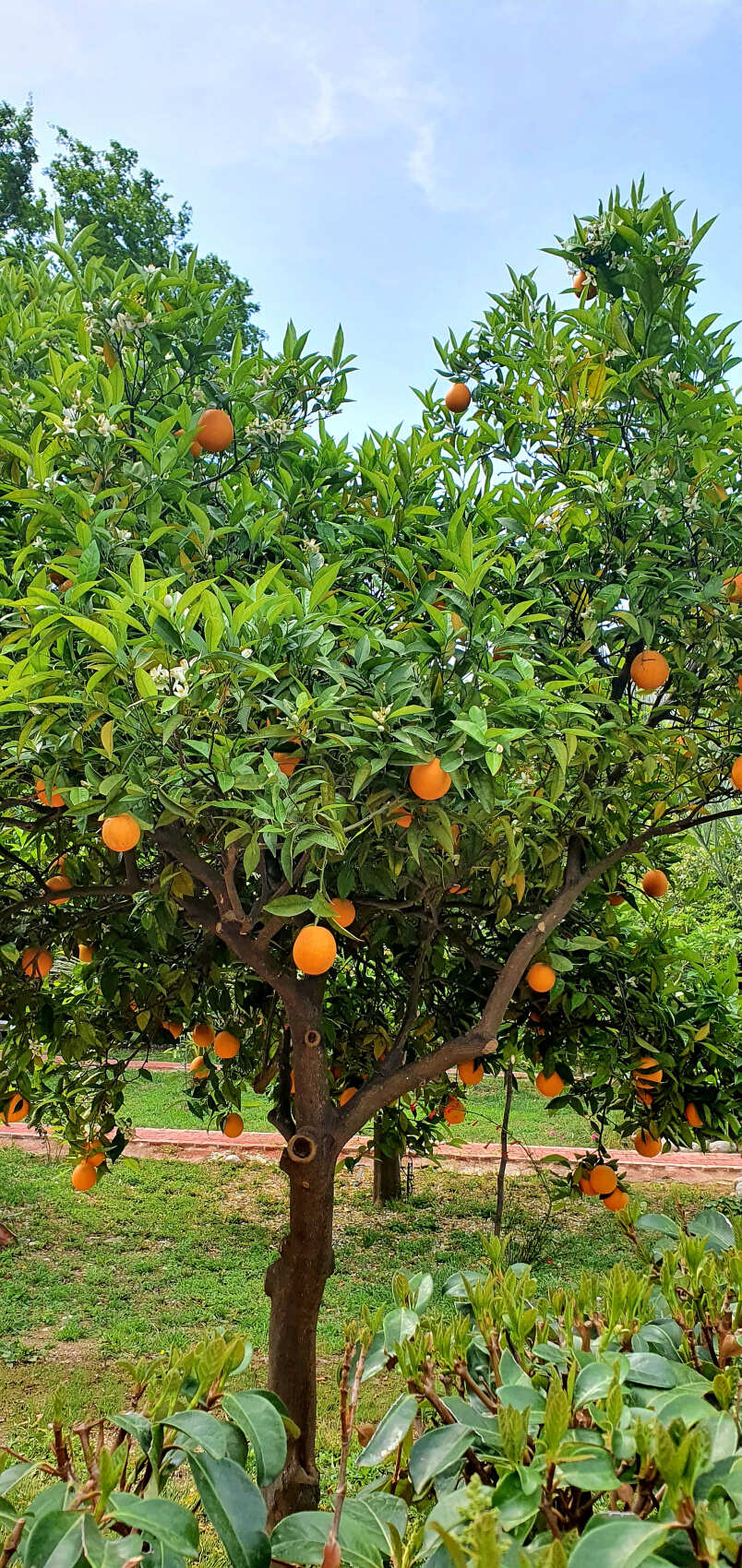 Треккинг по Ликийской тропе (без рюкзаков) (14/53)