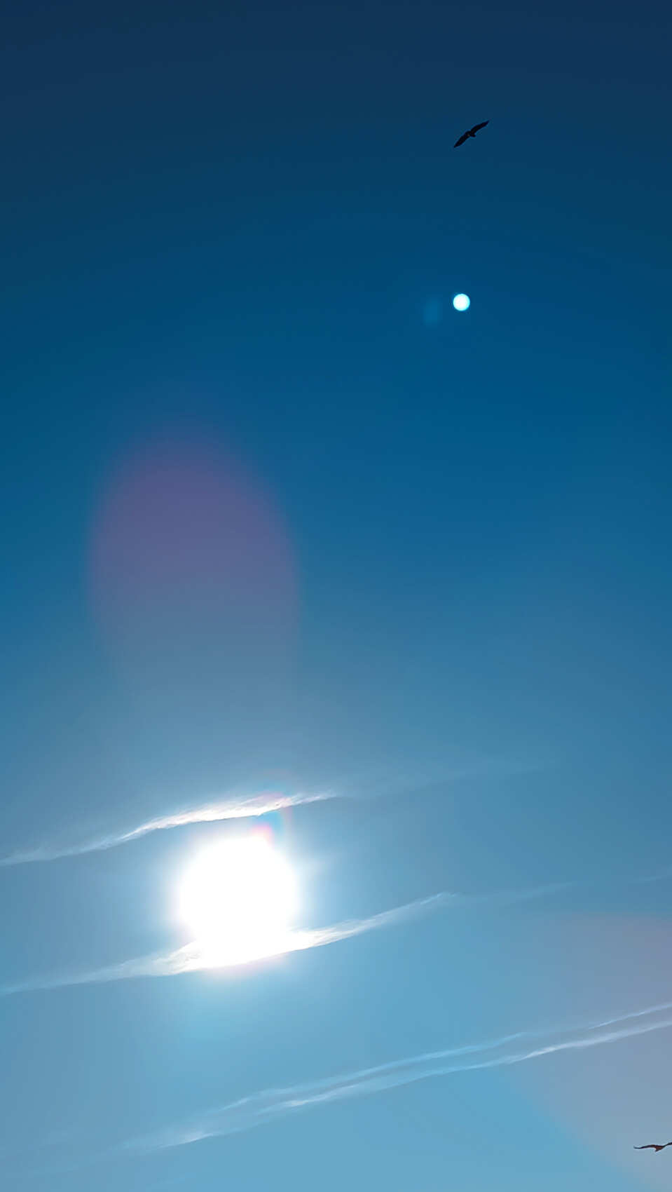 Сулакский каньон с Каранайских высот. (6/14)