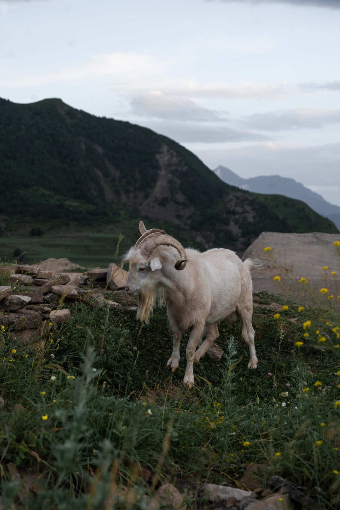 Казеной ам - на стыке республик (3/7)