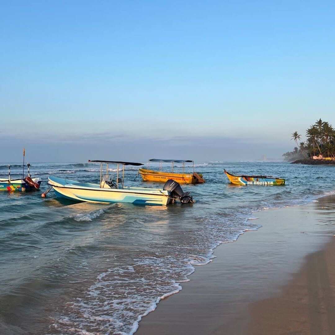 Йога серф тур на Шри Ланку в феврале (12/32)