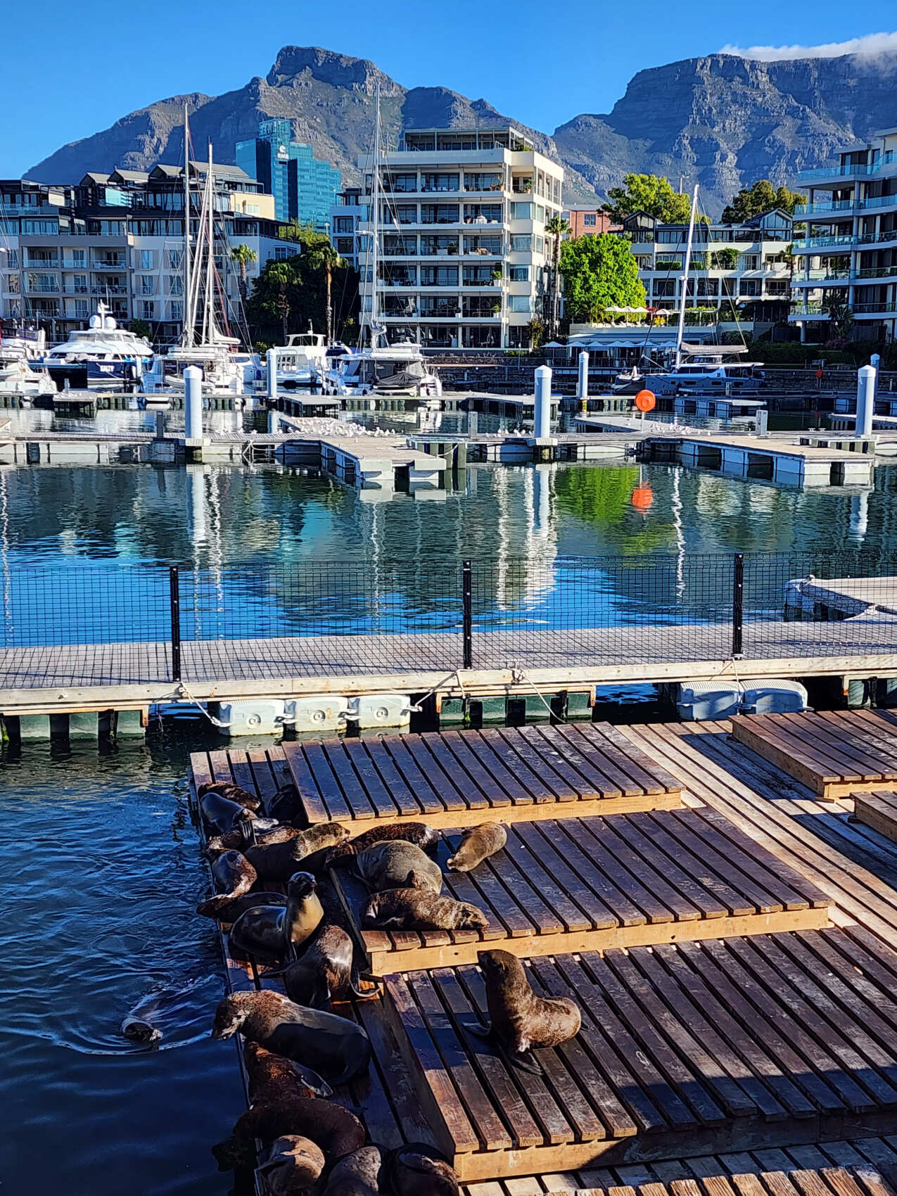 Топ-тур в Юар: треккинги, сафари и киты (36/64)