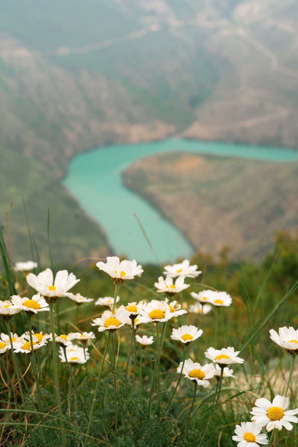 Сердце Дагестана - Сулакский каньон и бархан Сарыкум (4/14)