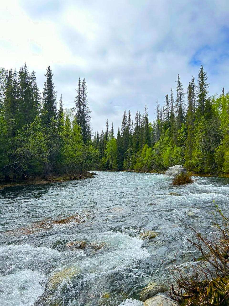 Большой Кольский: Мурманск, Териберка, Ловозеро, этнодеревня, Кировск (31/50)