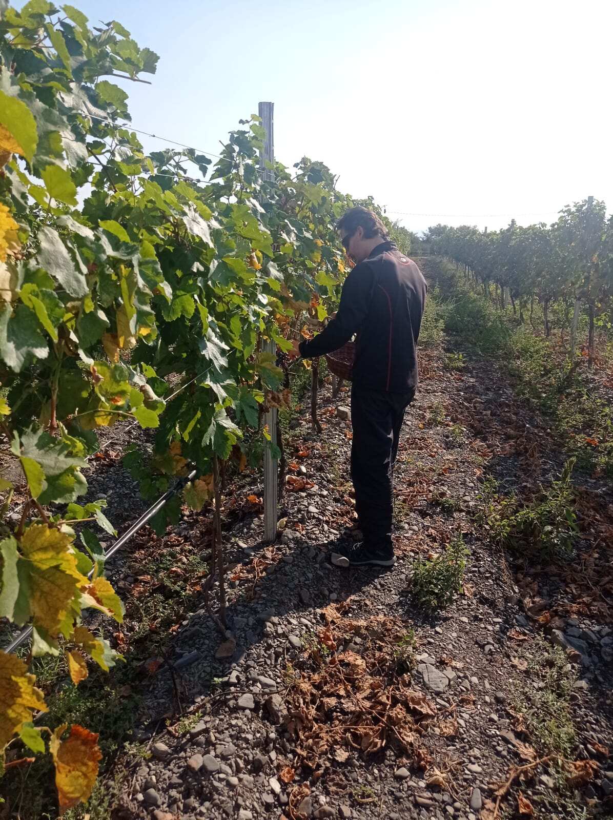 Грузинский вояж  летние маршруты за вдохновением (10/14)