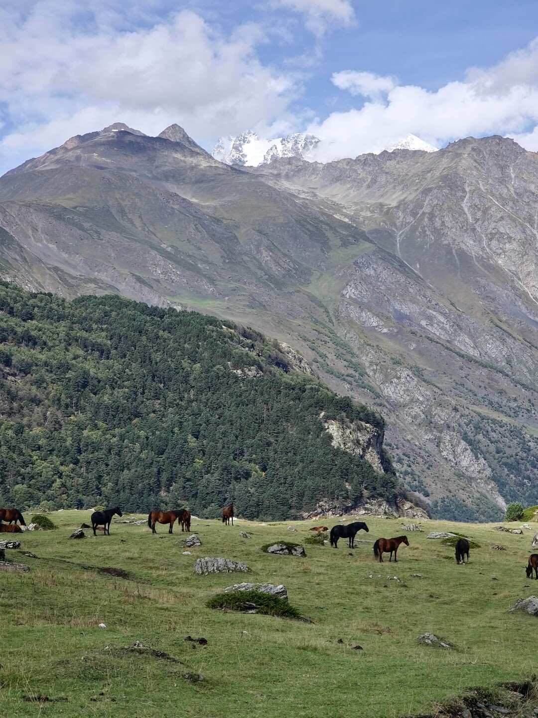 Кабардино-Балкария: Тайны Гор и Долин. Из Владикавказа (49/73)