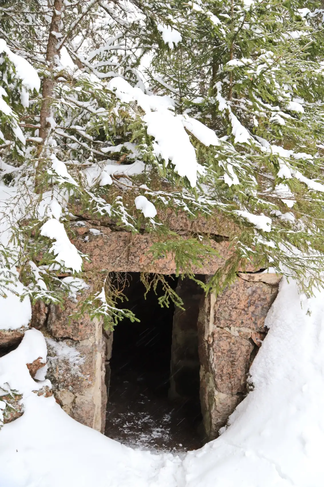 Лыжи и Спа. Однодневный выезд под Выборгом (5/16)