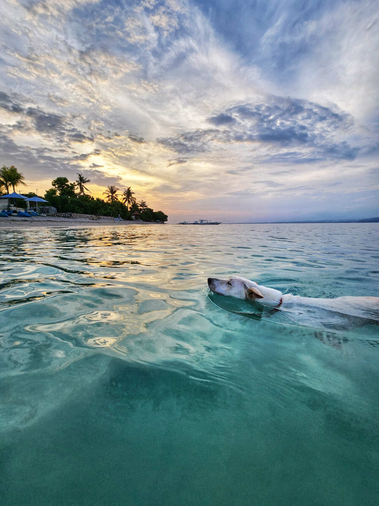 Бали и другие острова: Бали - Нуса Пенида - Гили (14/66)