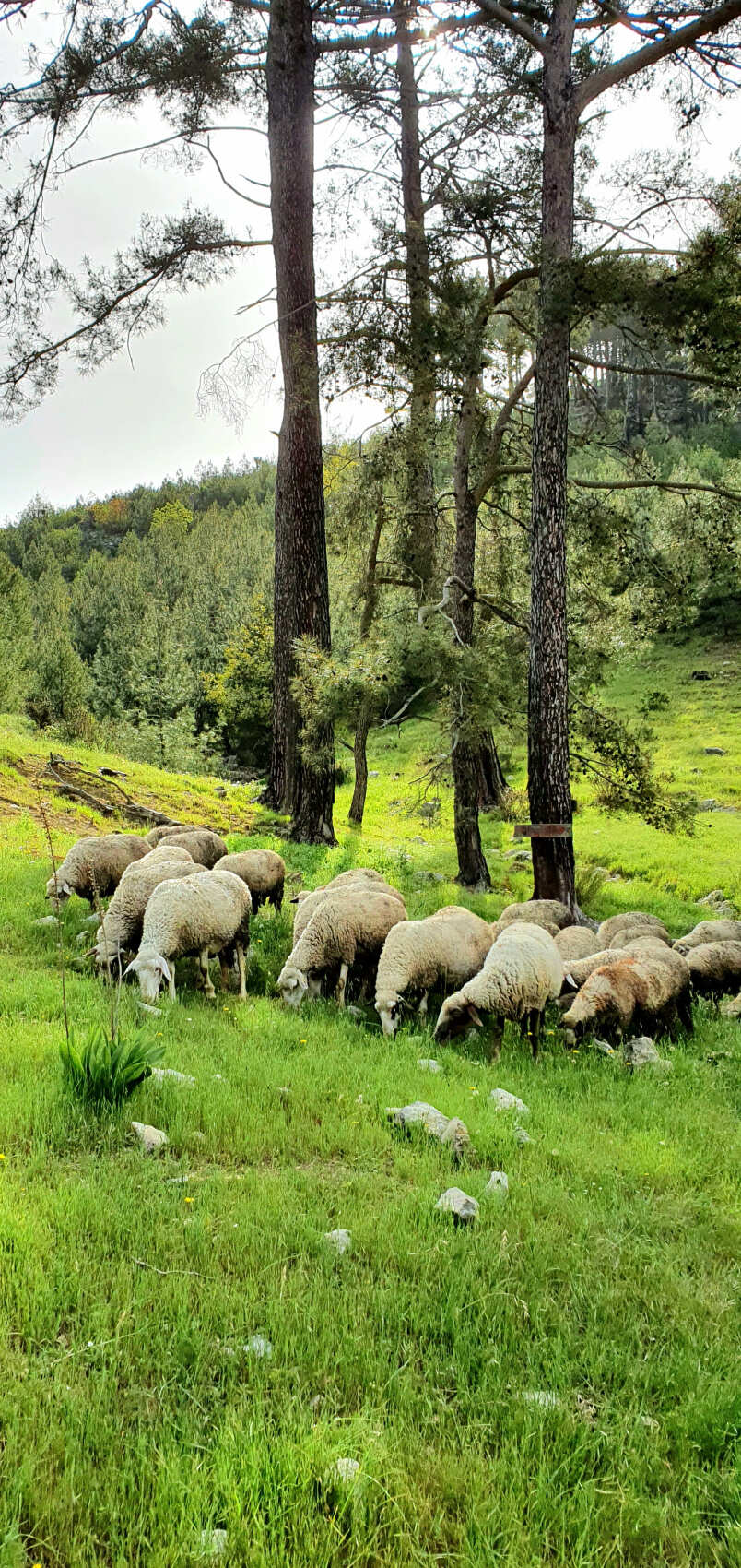 Треккинг по Ликийской тропе (без рюкзаков) (29/53)