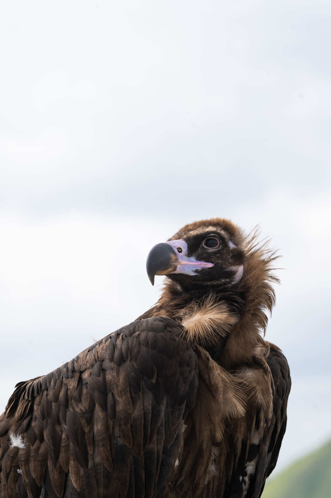 Казеной ам - на стыке республик (4/7)