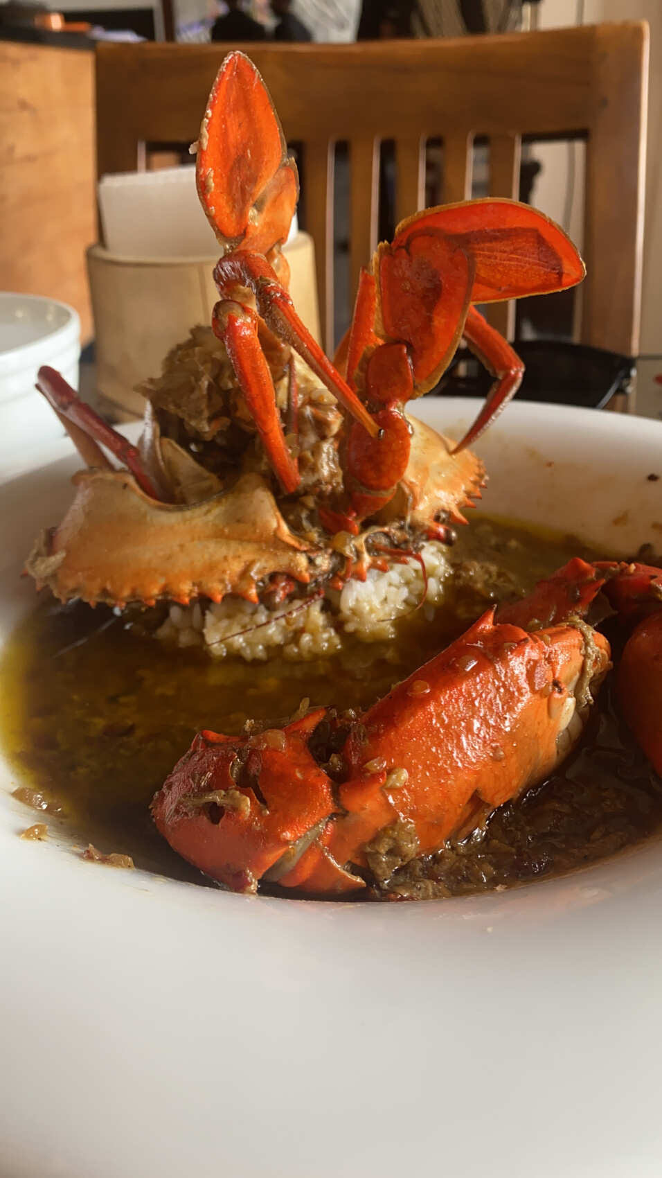 Йога серф тур на Шри Ланку в феврале (8/32)