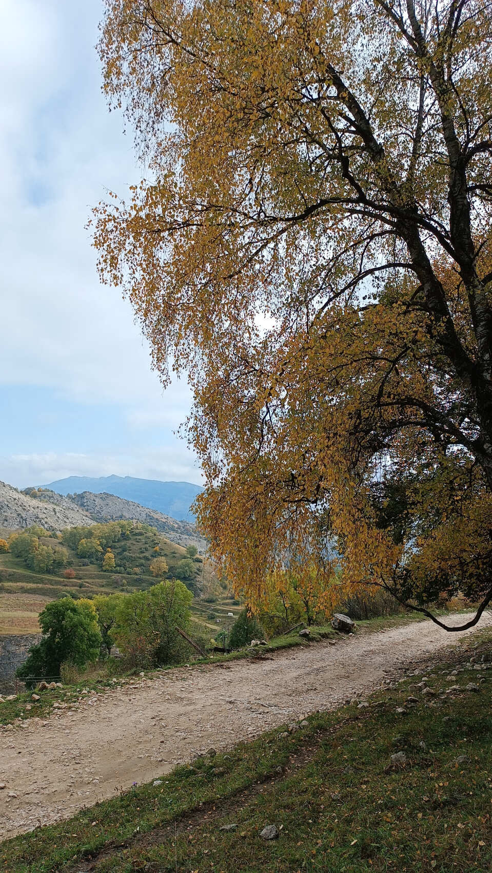 Восхождение на гору Маяк в Гунибском районе (7/13)