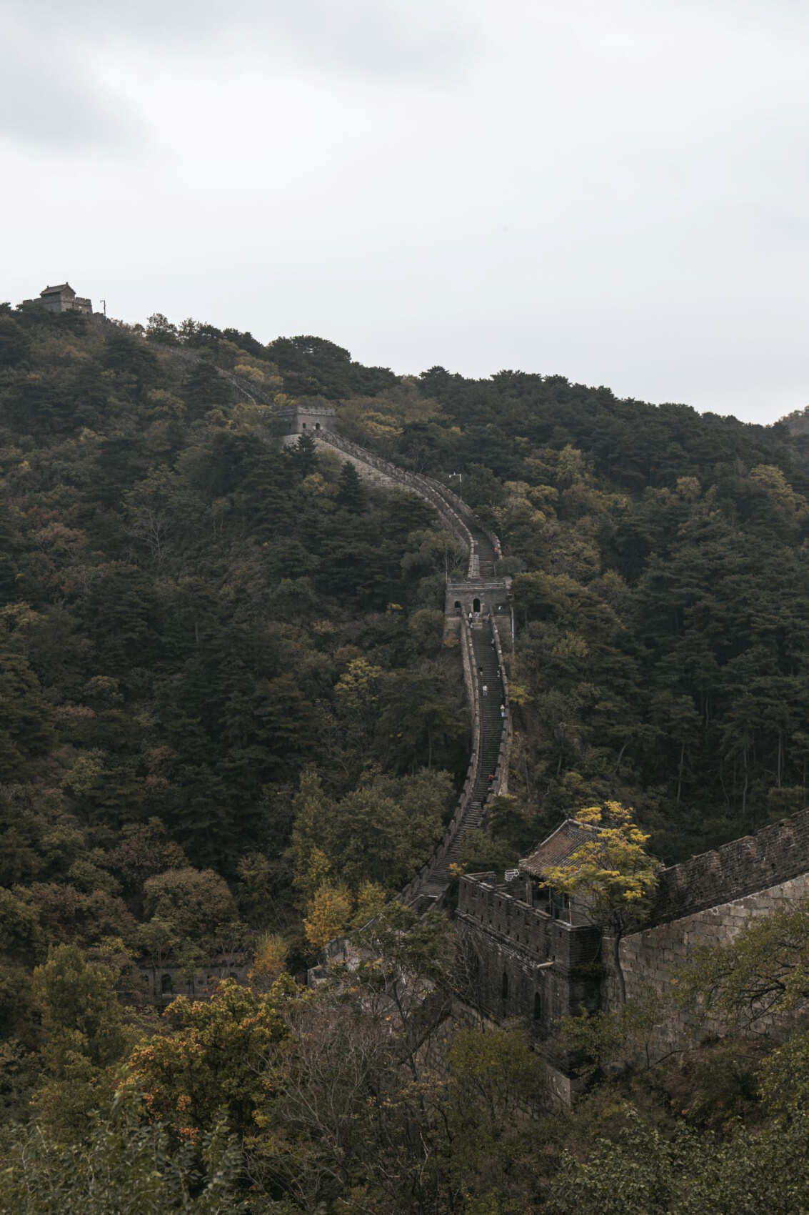 Китай.Поднебесная без границ (47/88)