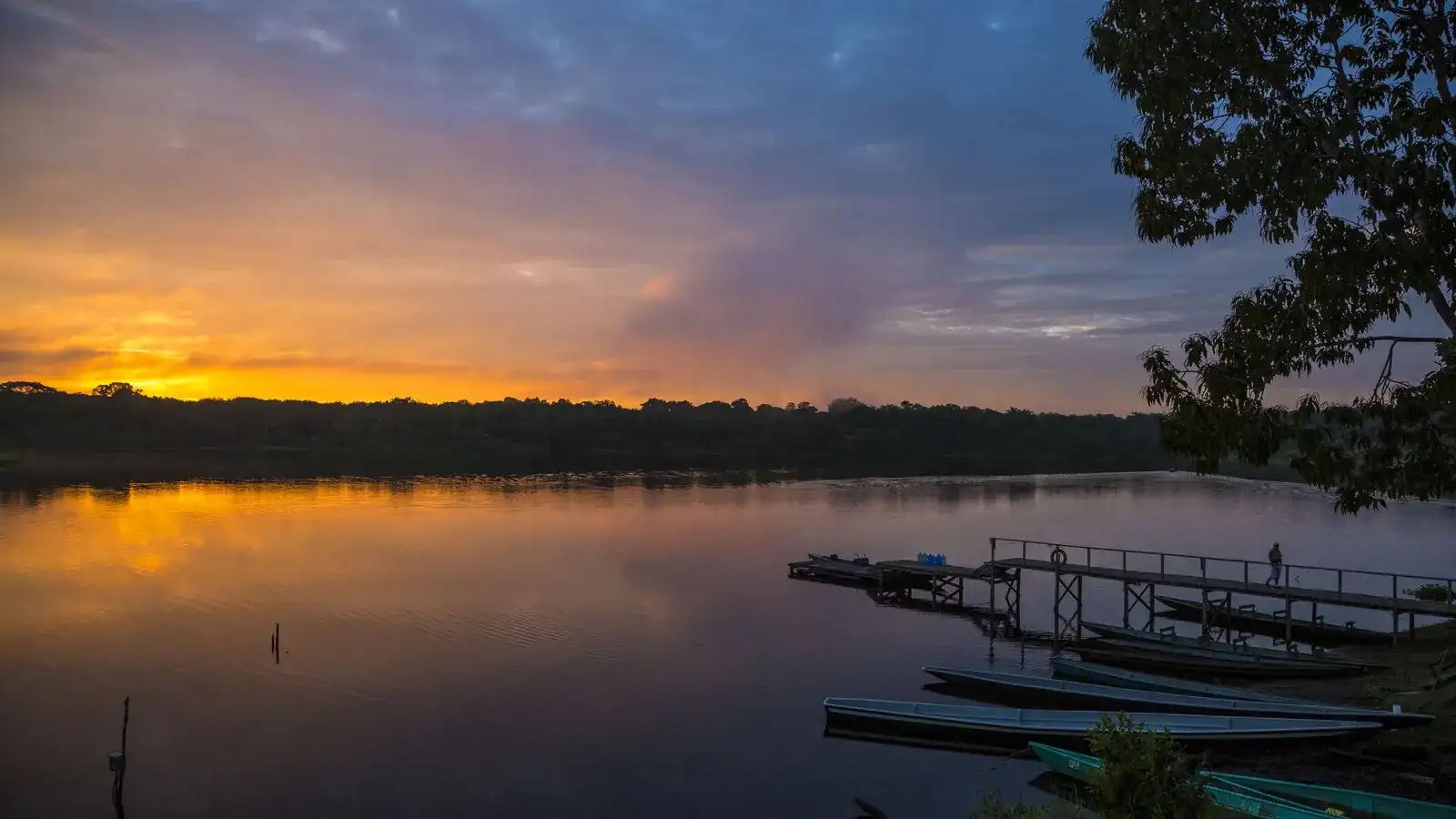 Amazon Expedition in Yasun  6 Days