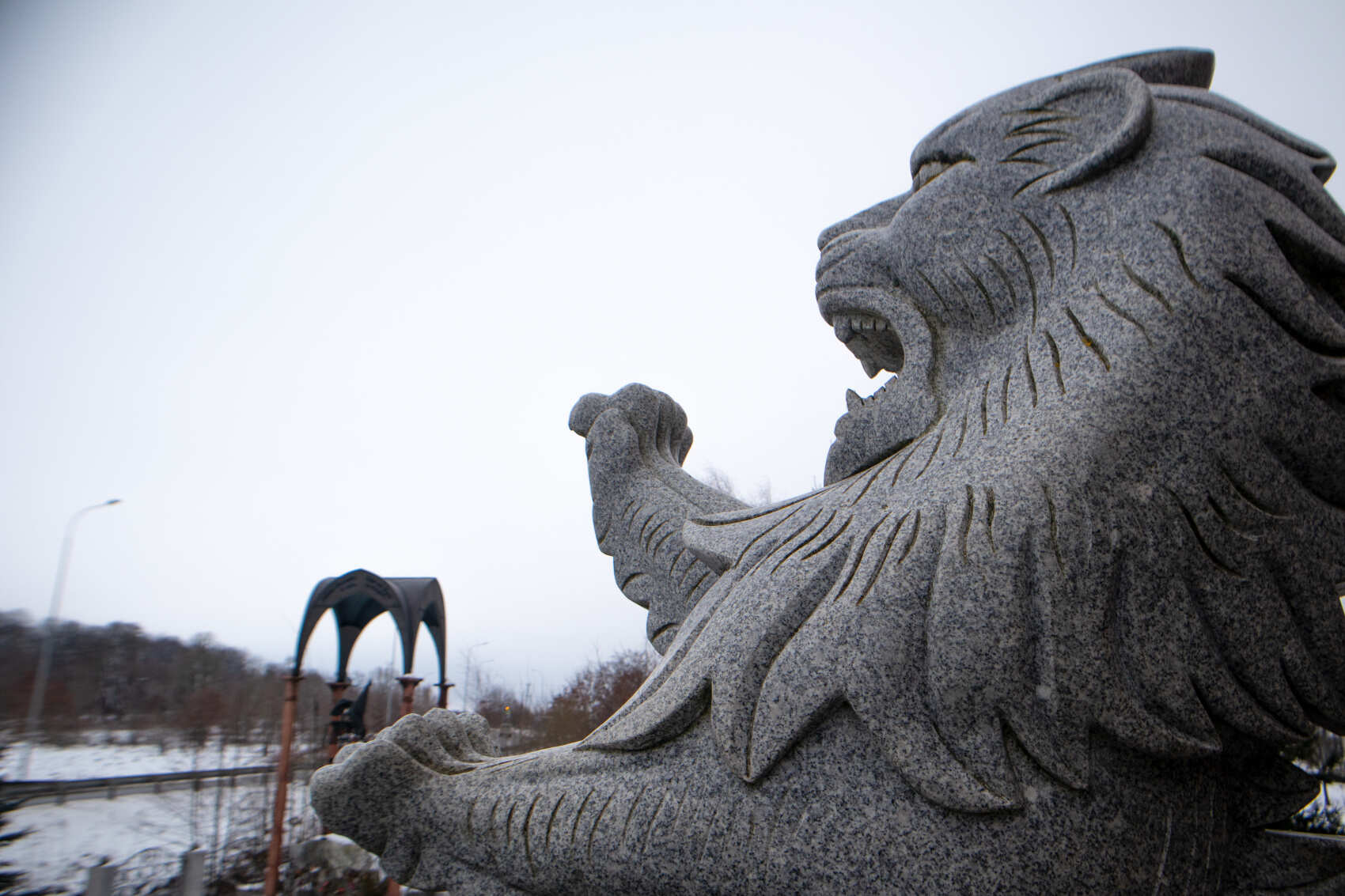 Замки янтарного края (есть ночевка в отеле-замке!) (21/38)