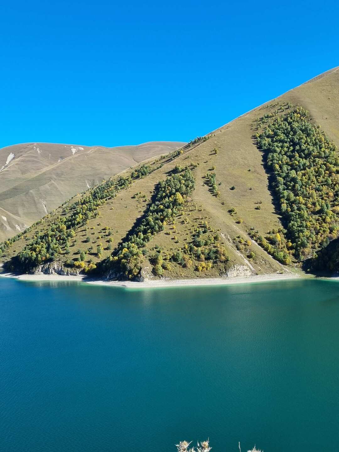 Чечня! История и Величие Кавказа. Из Владикавказа (32/51)