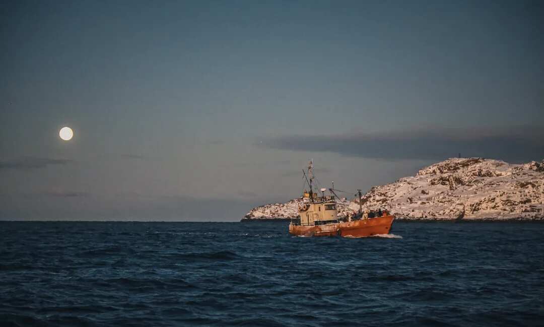 Тур к китам в Териберку (2/23)