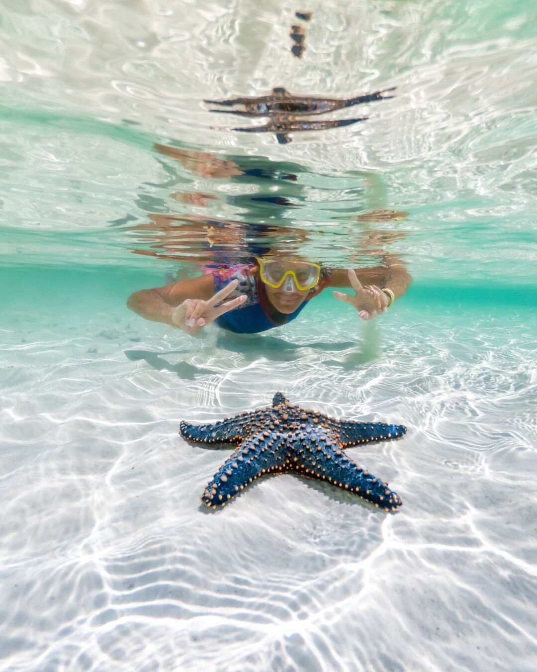 Удивительный Занзибар  и Один День В Танзании, увидеть большую пятёрку (3/89)