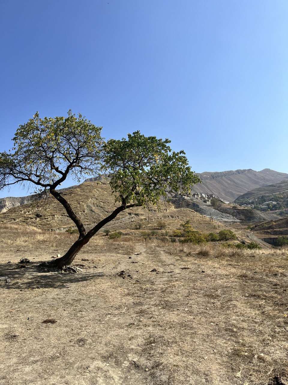 Дагестан за 5 дней: горы, кофе и море (6/29)