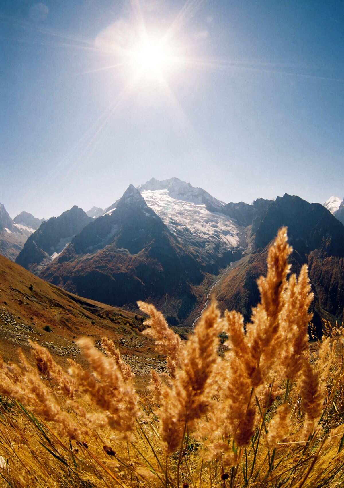 Сокровища Домбая (12/29)