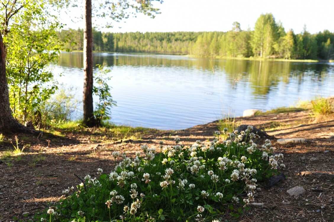 Сплав по реке Умба (22/31)