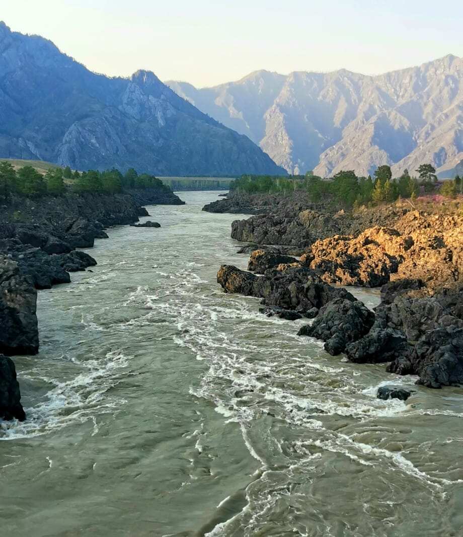 Весенний Алтай. Когда цветёт Маральник / 6 дней (32/45)