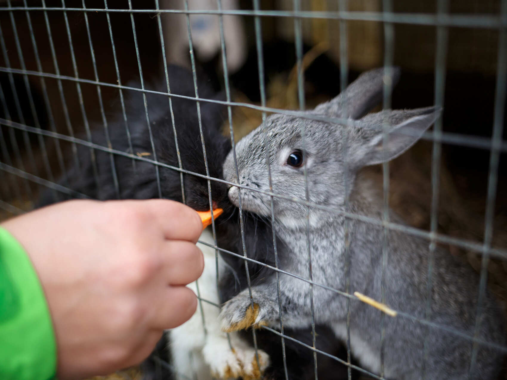 Владивосток и Приморье: свидание с океаном (7/30)