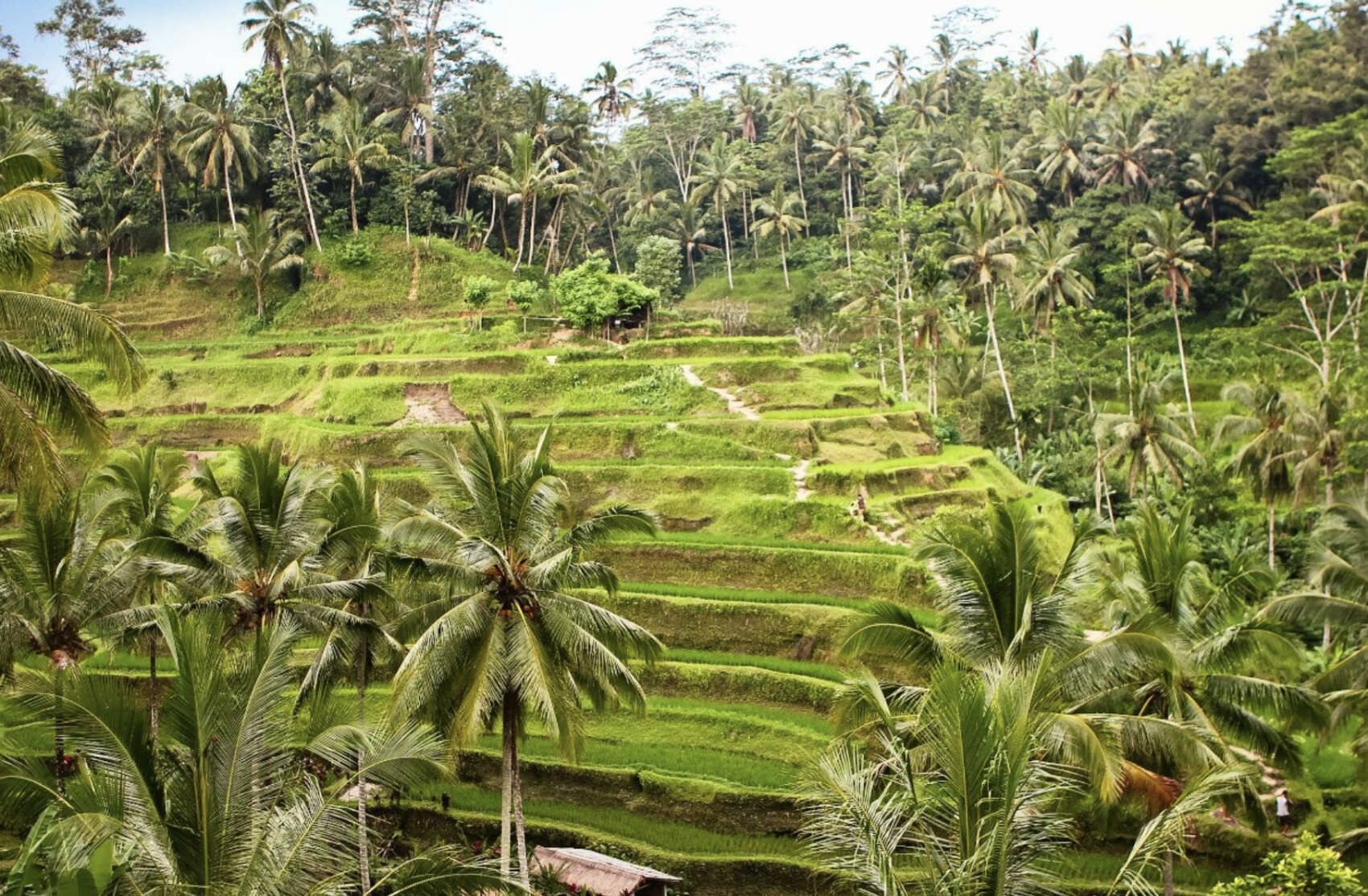 Фото-девичник на Бали за 10 дней (7/167)
