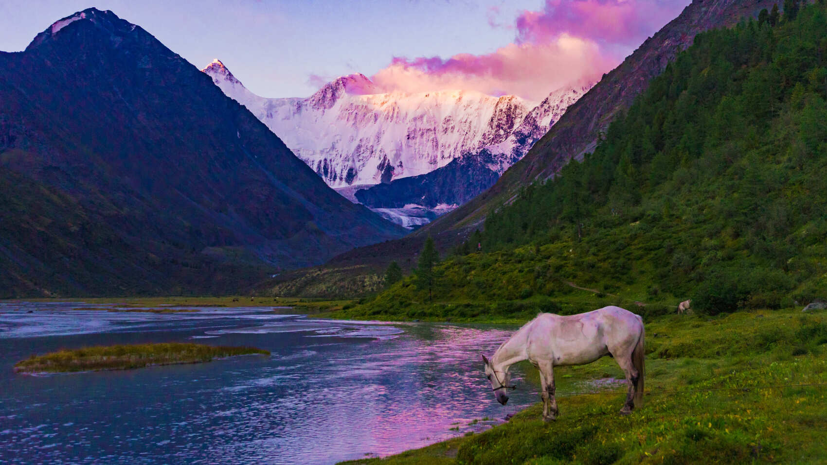Треккинг к базовому лагерю Белухи (46/78)