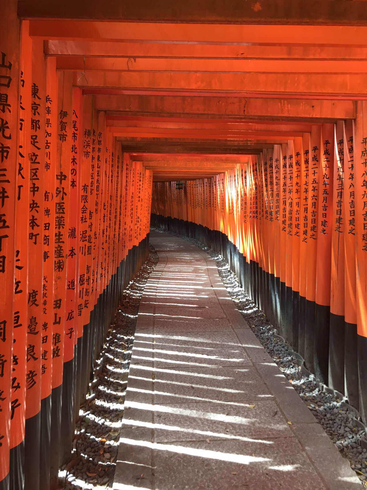 Навстречу гейшам и самураям. Япония на цветение и фестиваль 2026 (3/64)