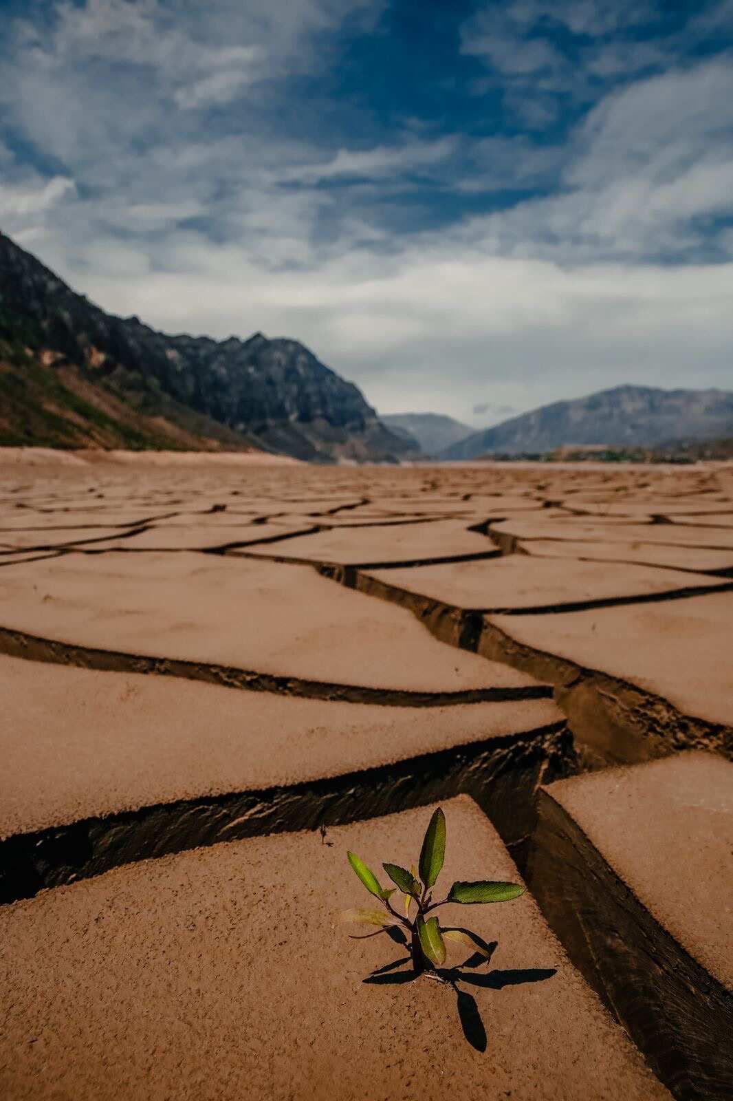 Дагестан гостеприимный - в гостях у горцев! 5 дней в Дагестане (11/35)