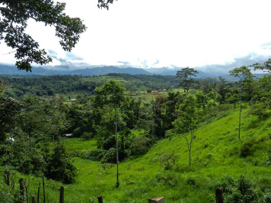 Четырехдневный экологичный лодж Amazon (4/7)