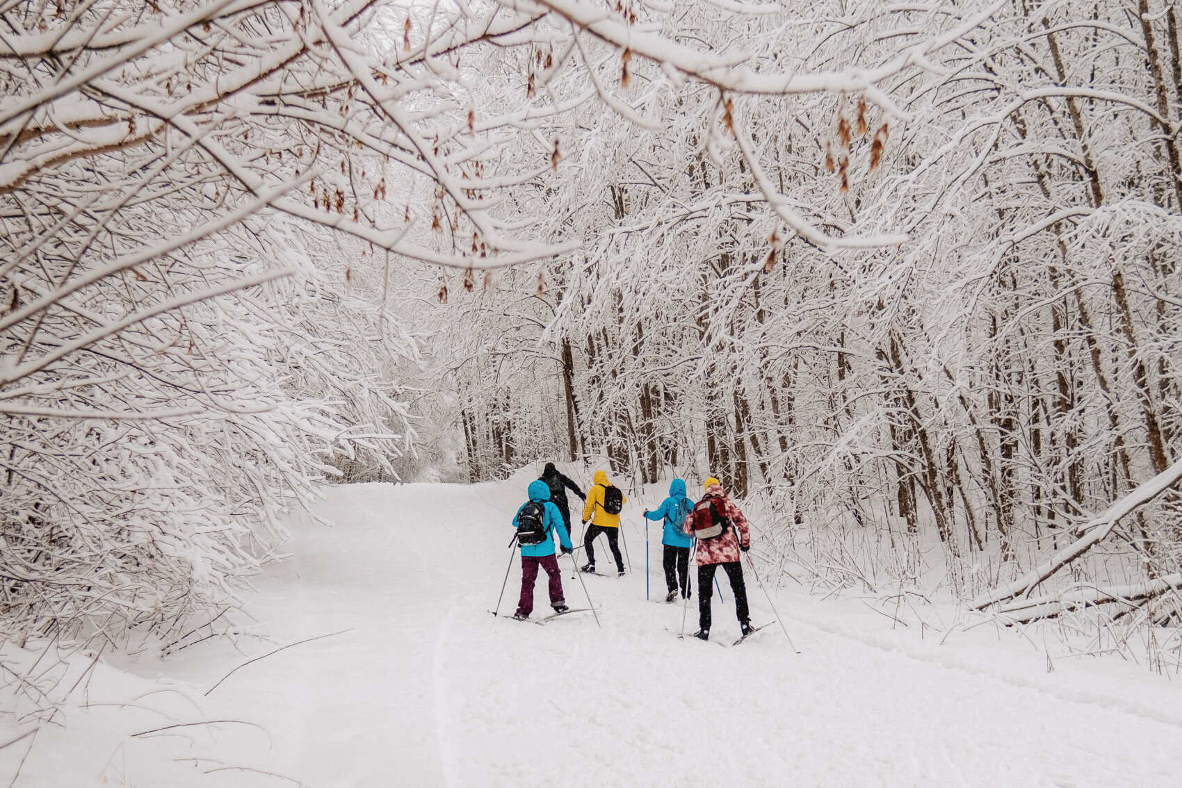 Лыжные тренировки в Санкт-Петербурге. Базовый уровень (17/28)