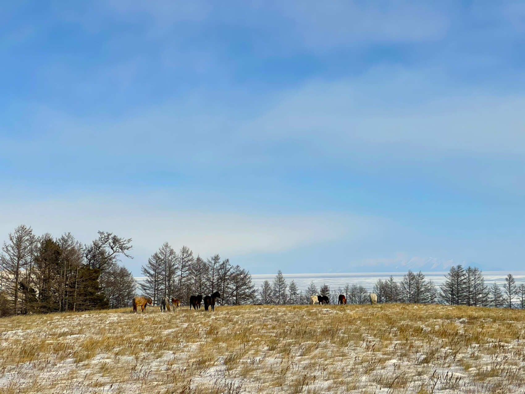 Дыхание Байкала (13/91)