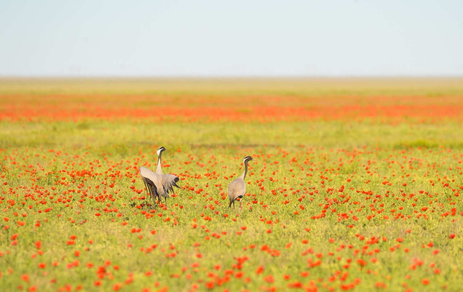 Фототур на Северный Тянь-Шань. Семиречье - жемчужина Казахстана.