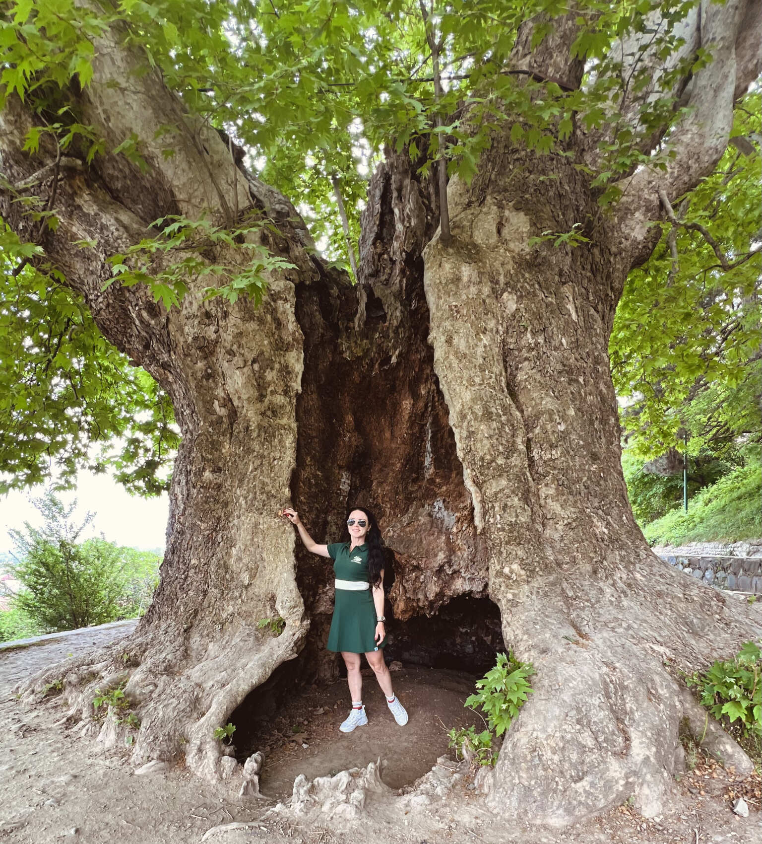 Удивительная Грузия: Тбилиси+Казбеки+Кахетия (25/152)