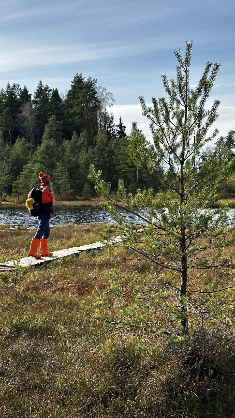 Пеший поход Звенигородская биостанция Мгу и карьер Сима (5/9)