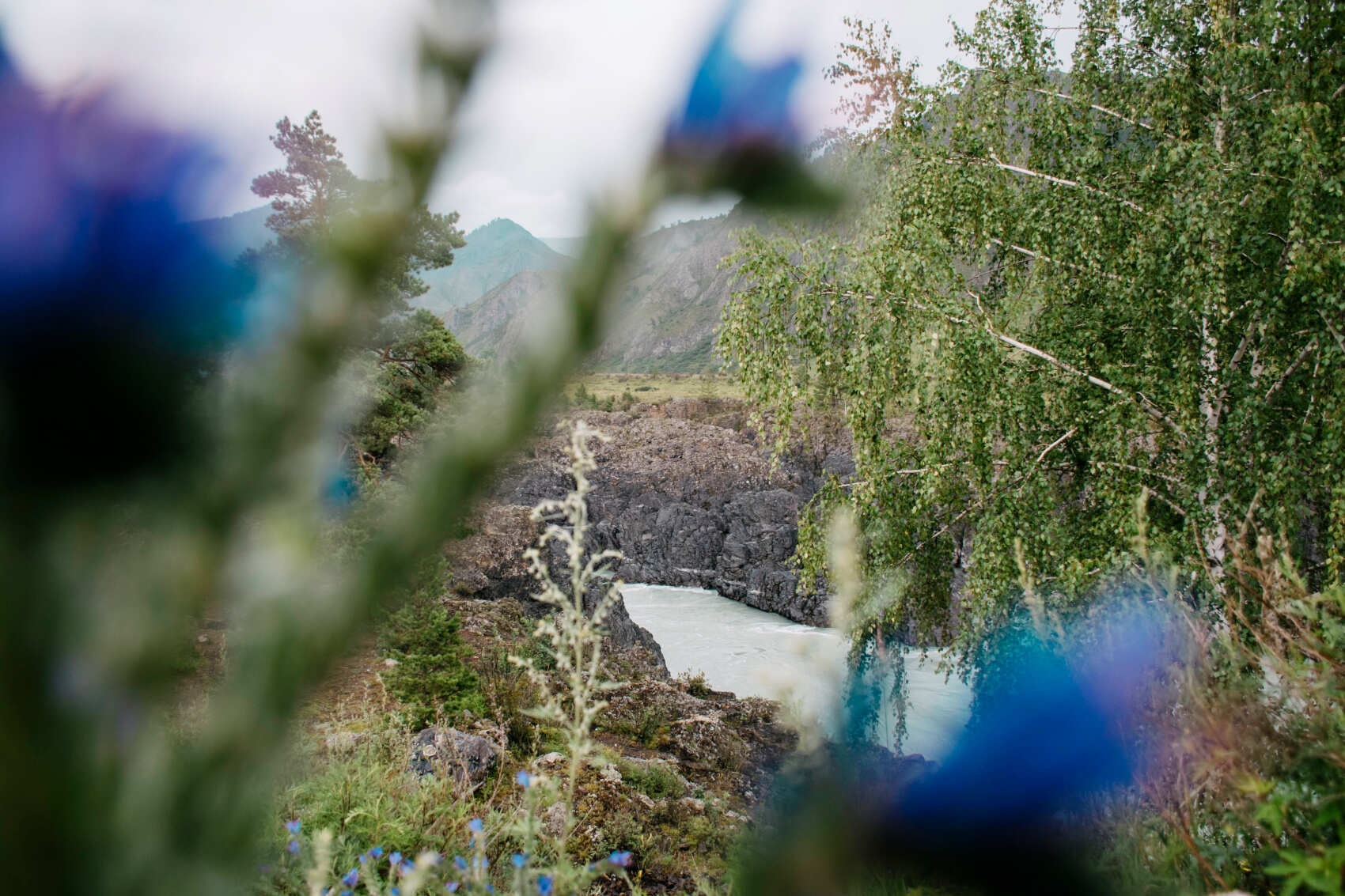 Актив-тур +: конные прогулки, сплав, трекинг, Чуйский тракт! (10/43)