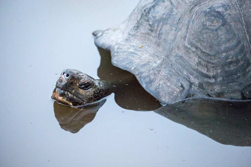 Основные моменты Галапагосских островов за 6 дней (2/7)