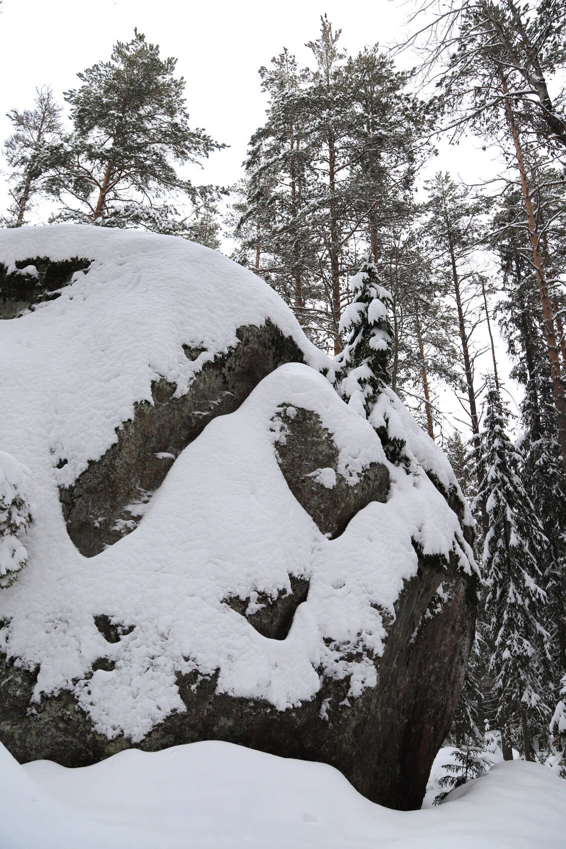 Лыжи и Спа. Однодневный выезд под Выборгом (7/16)