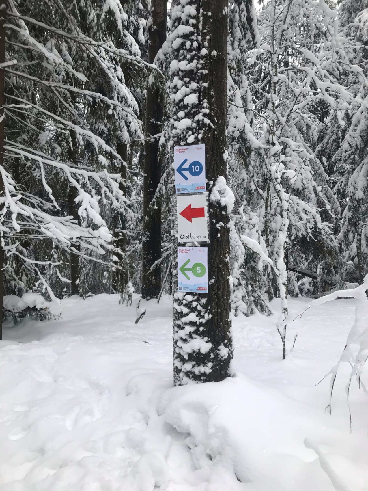 Лыжный день по сказочным местам. Однодневный выезд из Петербурга (14/17)