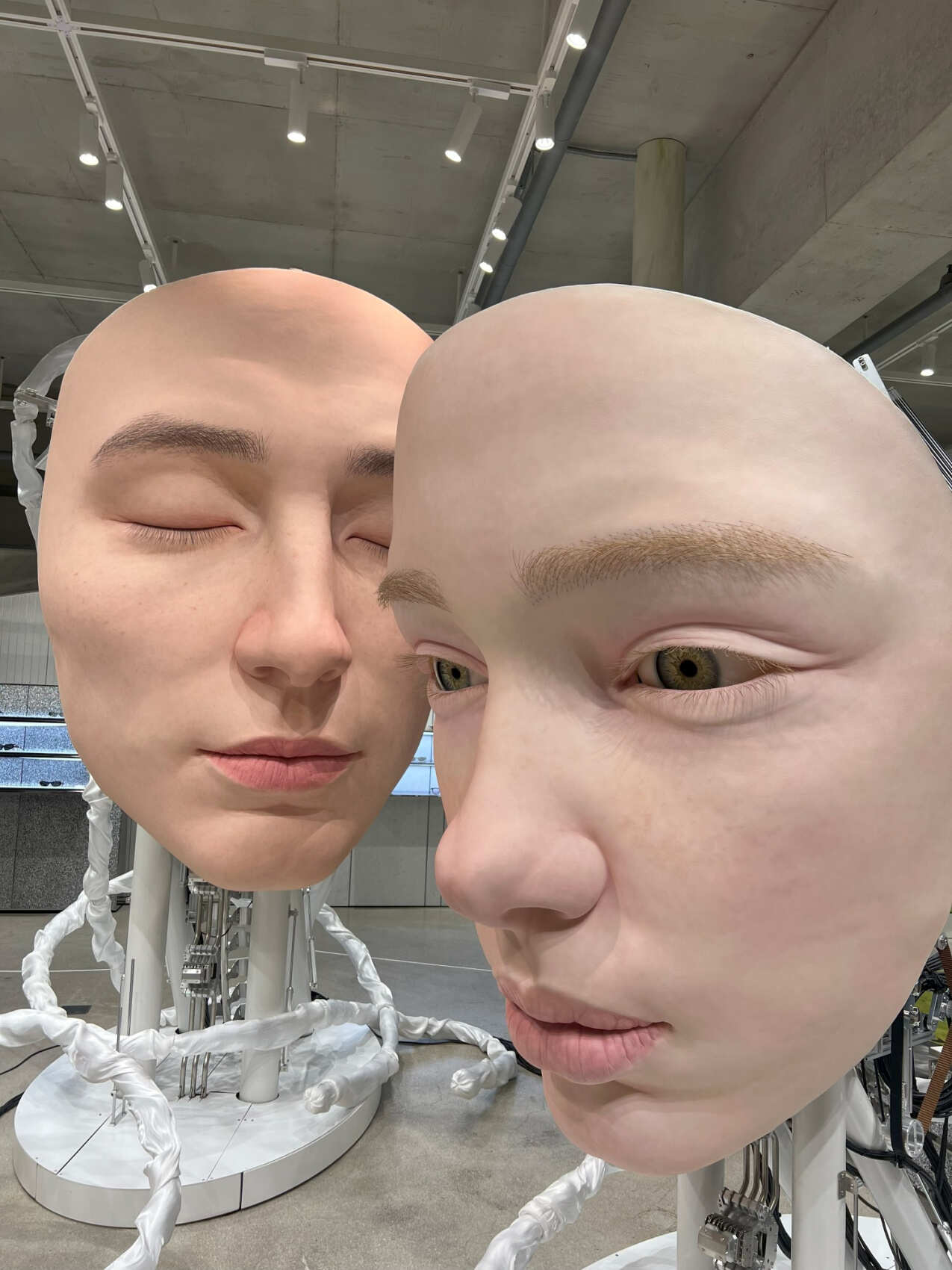 Южная Корея и остров Чеджу. (20/101)