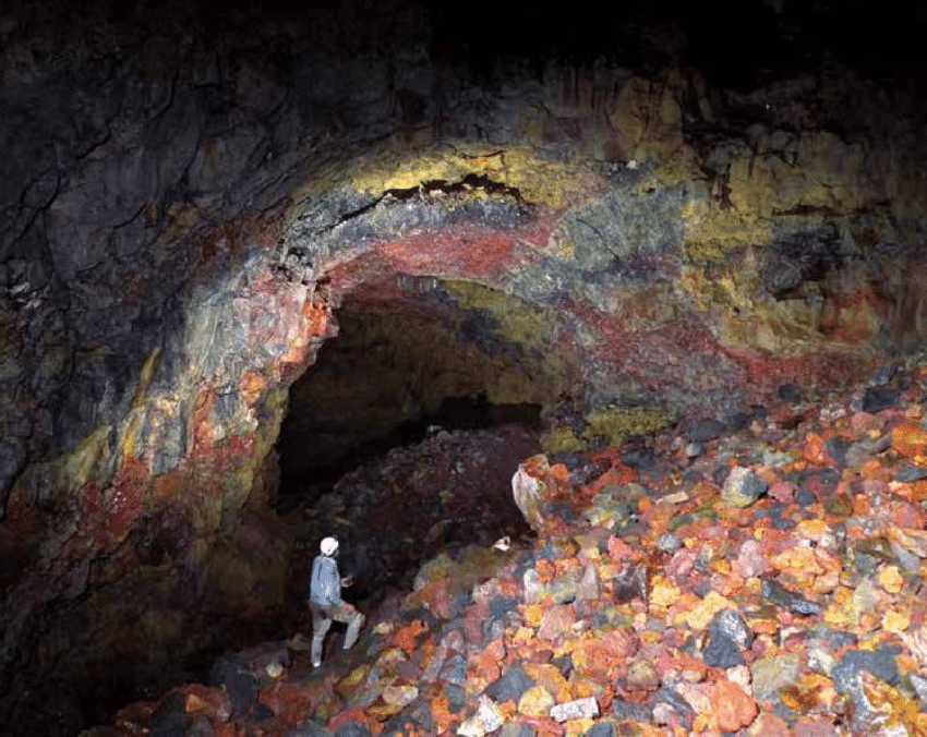10-дневная прогулка по Галапагосским островам в Санта-Круз и Исабеле (6/9)