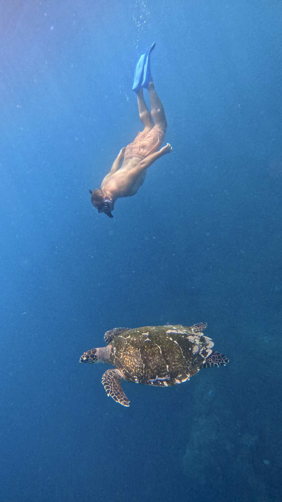 Бали и другие острова: Бали - Нуса Пенида - Гили (6/66)