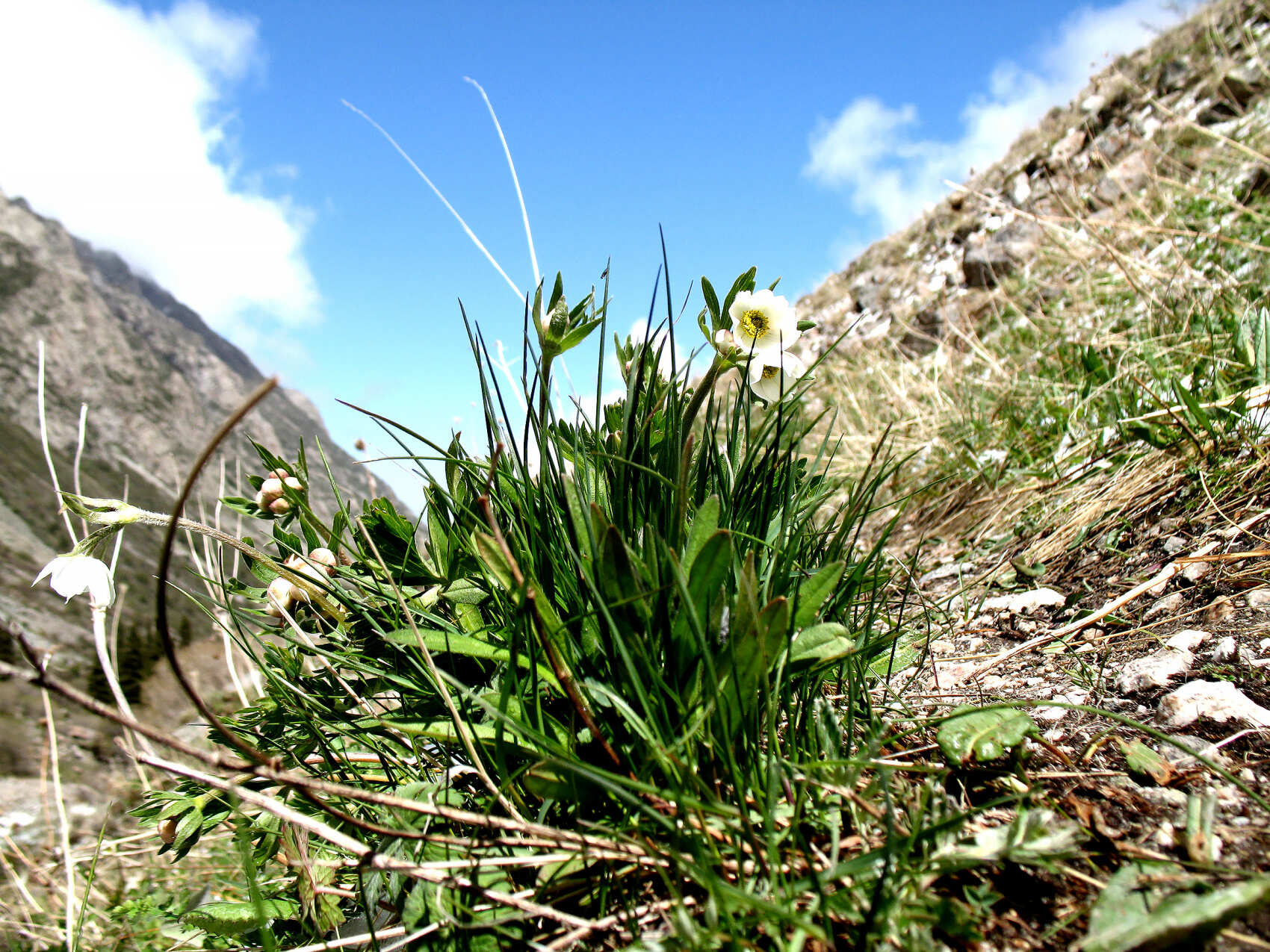 Из Бишкека в горы Тянь-Шаня! (5/16)