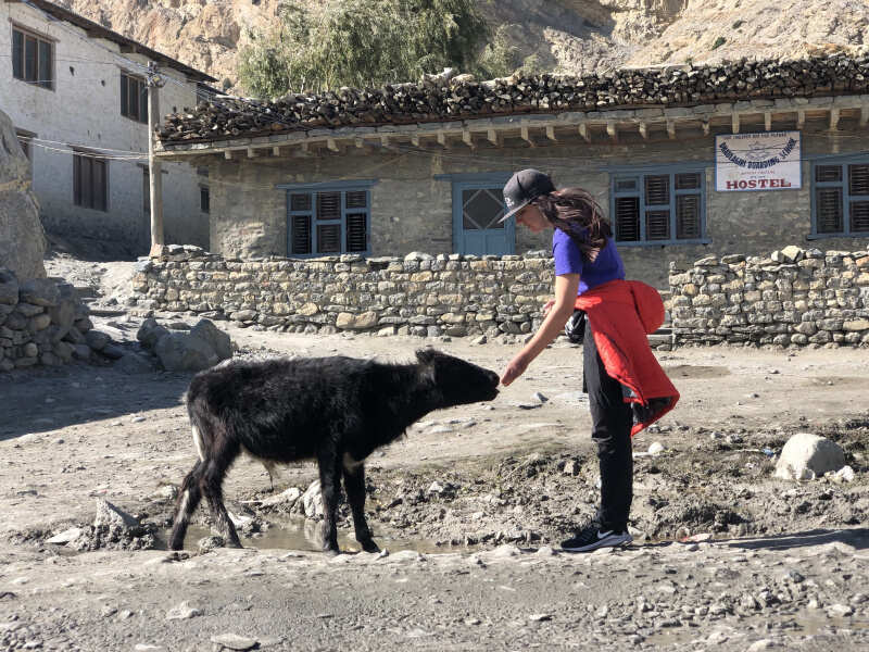 Непал. Трек вокруг Аннапурны по часовой! (20/122)