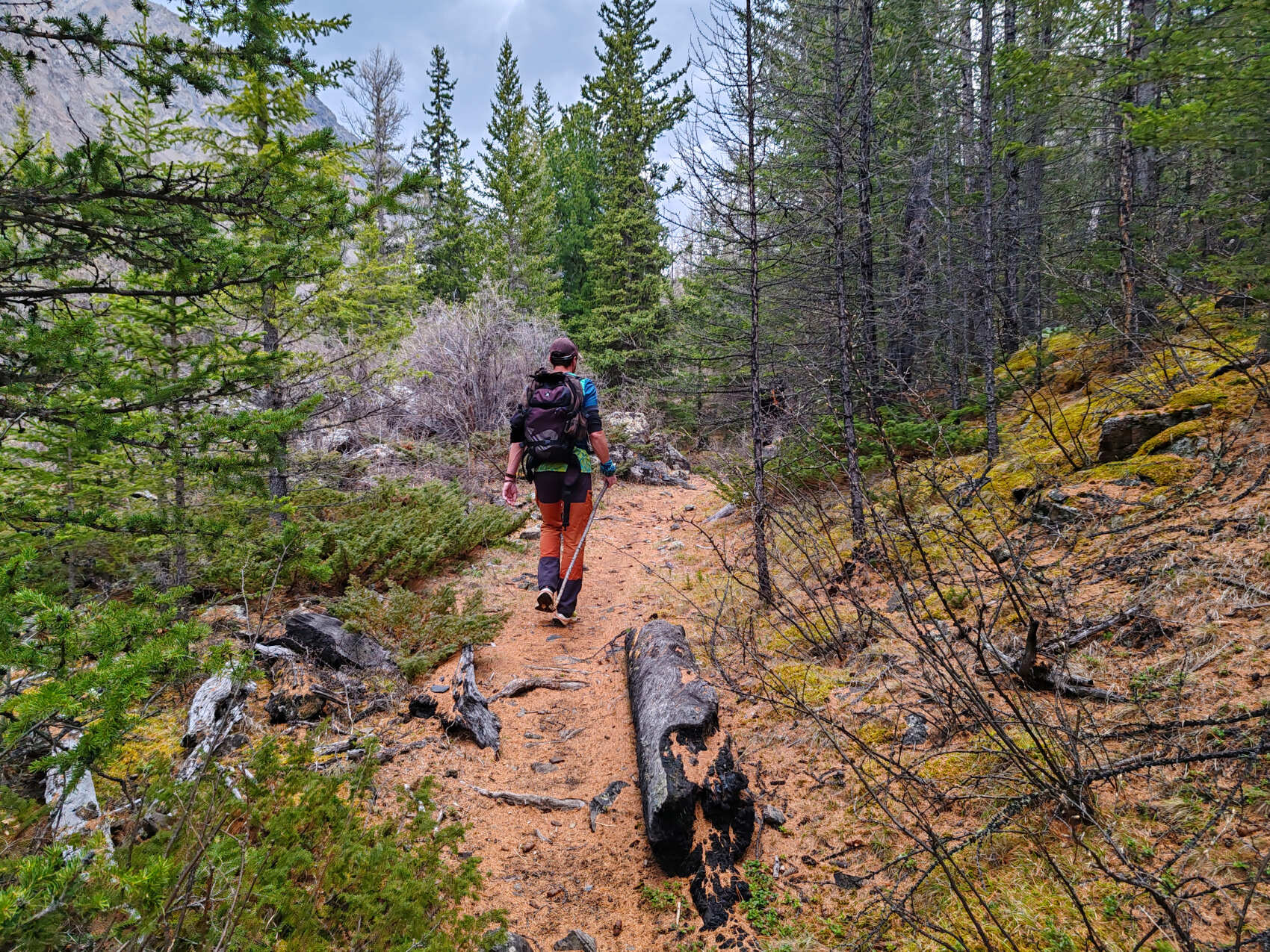 Актив-тур +: конные прогулки, сплав, трекинг, Чуйский тракт! (28/43)